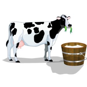 Animated Cow (ANI001)